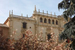 Madrider Unis rufen zum Generalstreik auf