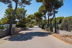 Flughafenzufahrt auf Ibiza gesperrt