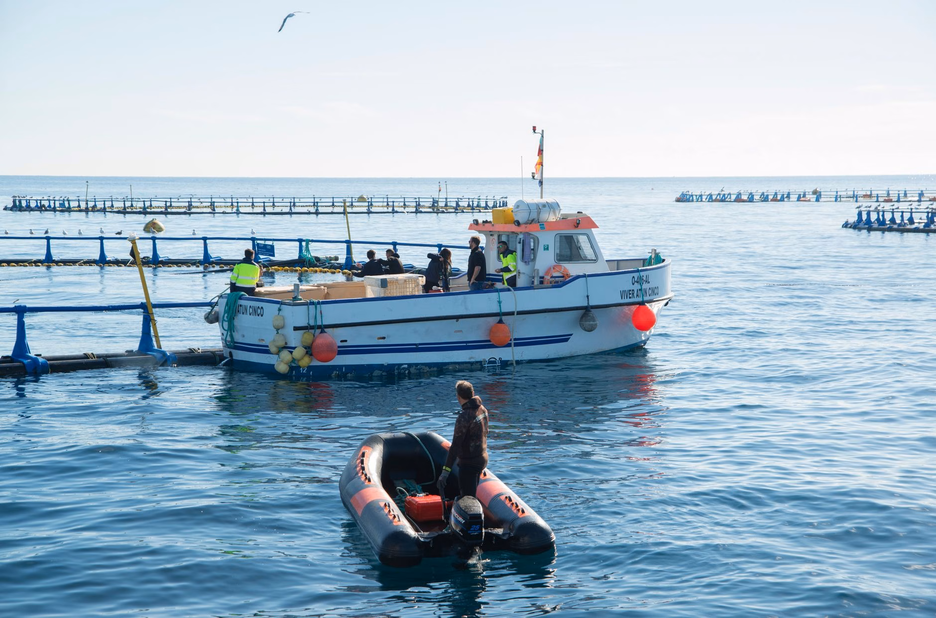 101 Migranten vor Cartagena aufgegriffen