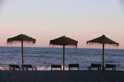 Torrox investiert 3,9 Millionen in die Zukunft