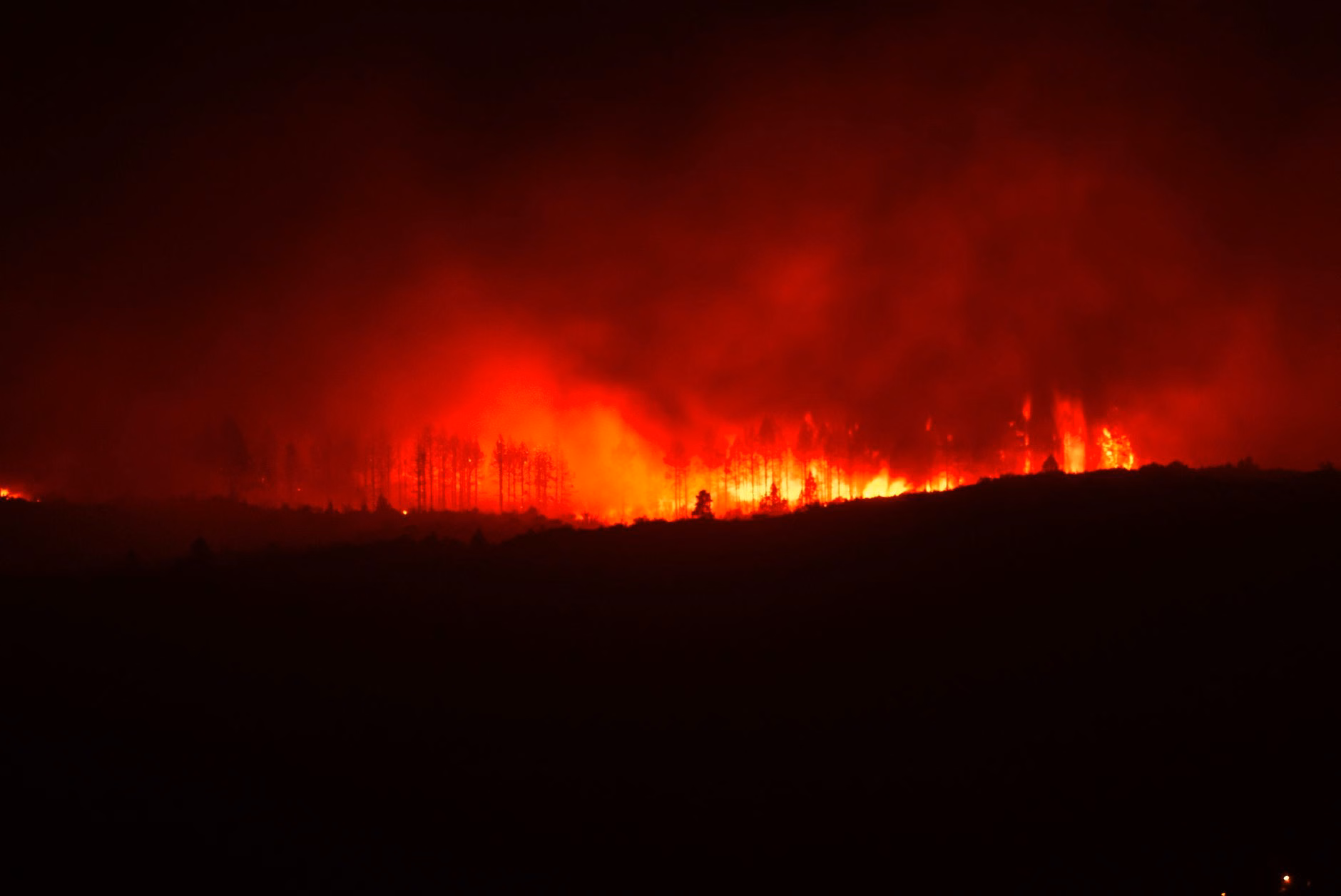 Waldbrände in Spanien: 262.030 Hektar verbrannt
