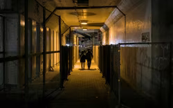 Schutznetze gegen den Tod