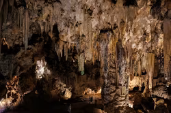 Nerja-Höhle: Sechs Jahrzehnte Festivaltradition