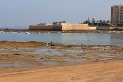 Hafen Cádiz erwartet 28.000 Kreuzfahrtgäste