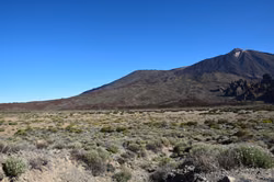 Teneriffa testet den Ernstfall Vulkan