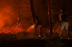 Wenn die Flammen die Politik überholen