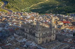 Olivenöl-Betrug in Jaén aufgeflogen