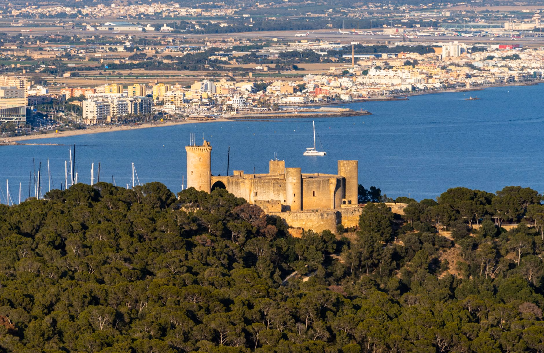 Festnahme nach Sexualdelikt in Palma