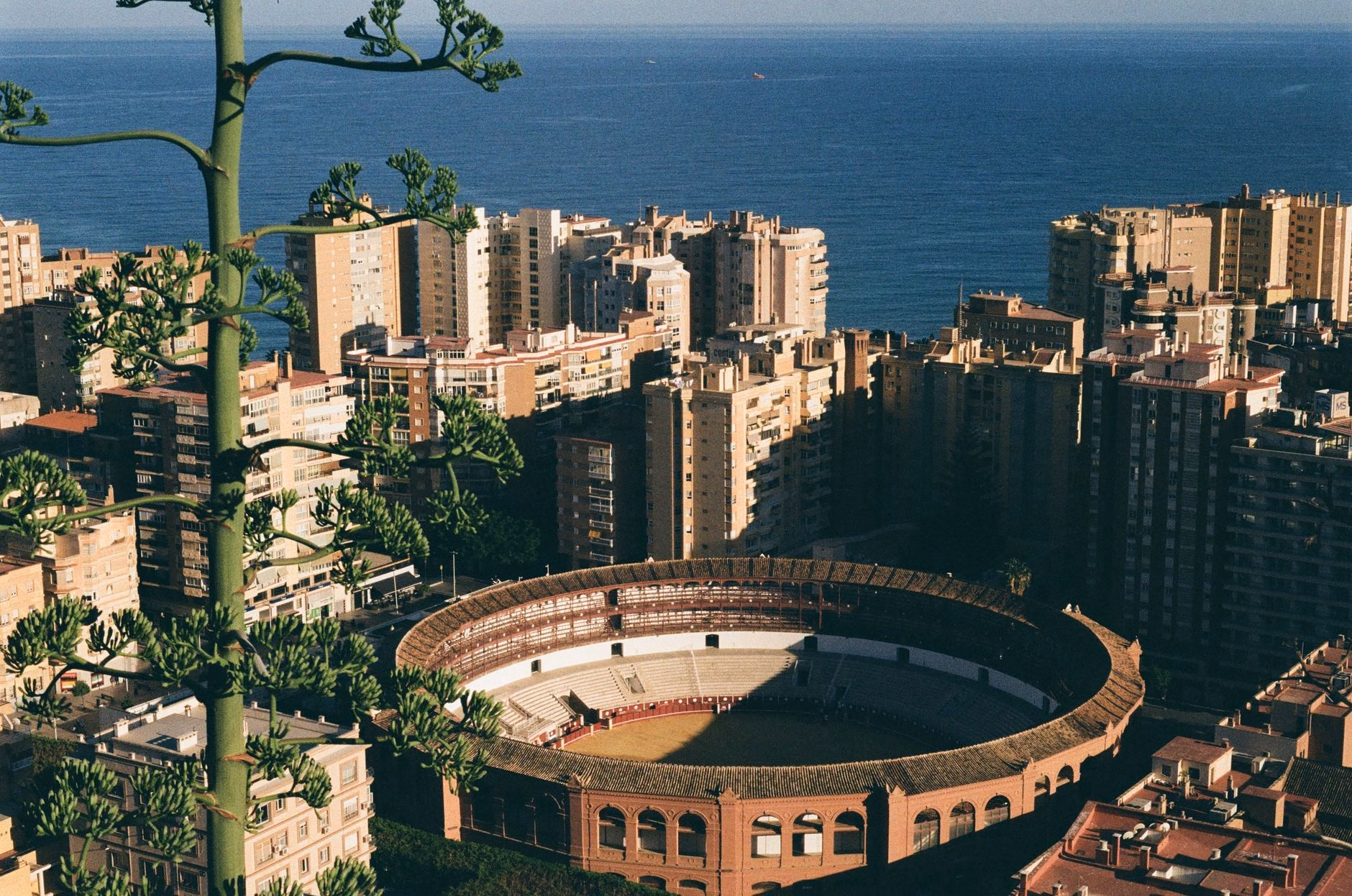 Spanische Komödie eröffnet Fantasysfestival in Málaga