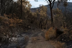 Haftbefehl nach Waldbrand bei Tuéjar erlassen