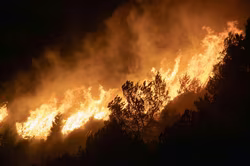 Marbella verstärkt den Schutz vor Waldbränden
